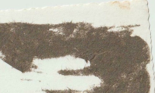 Foto original de la antigua Polonia polaca de la Segunda Guerra Mundial. Wojna - Imagen 2 de 2