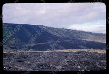 sl75 Original slide 1984  Hawaii  hillside covered in lava hardened  664a