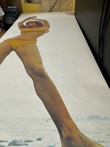 Raquel Welch 1971 Persönlichkeit Poster 24x59 Bikini Terry O'Neill Türposter - Bild 11 von 14