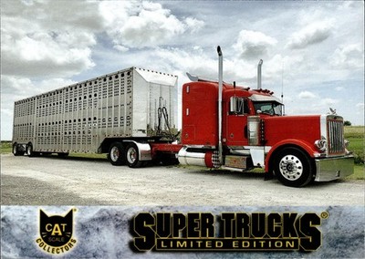 2001 Peterbilt TJ & Detsi Evans #8 CAT Super Trucks Series 21