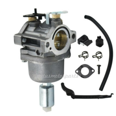 FanPaYY Kit Carburatore Per Tosaerba Briggs And Stratton Con Filtro - Foto 2