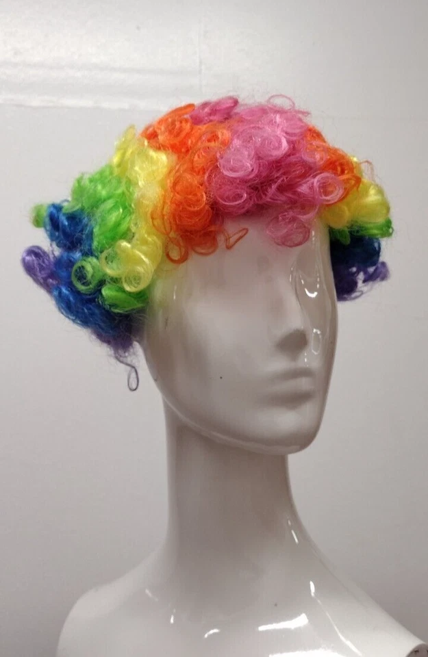 PELUCA PAYASO ARCO IRIS AÑOS 80 GAY Colores Años 90 DISFRAZ FUNKY SINTÉTICO AÑOS 80 ETIQUETA Foto 3 de 4