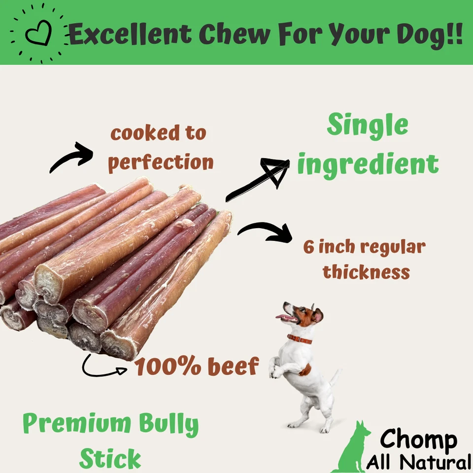 6" inch  BULLY STICKS Natural Dog Treats Chews USDA & FDA Approved, By Chomp - Image 3 of 4
