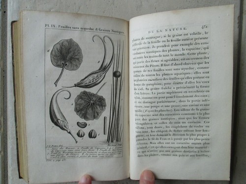 BERNARDIN DE SAINT-PIERRE : ETUDES DE LA NATURE, 1804. 5 vol., 10 planches. - Picture 15 of 24