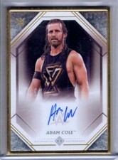 2021 Topps WWE Transcendent Collection Wrestling Cards Checklist 9