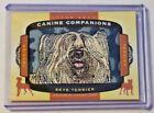 2018 Goodwin Champions Canine Companions Manufactured Patch Skye Terrier