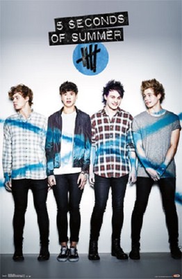 5 seconds of summer のサイン入りポスター 5SOS % Seconds of Summer signed promo poster/window card