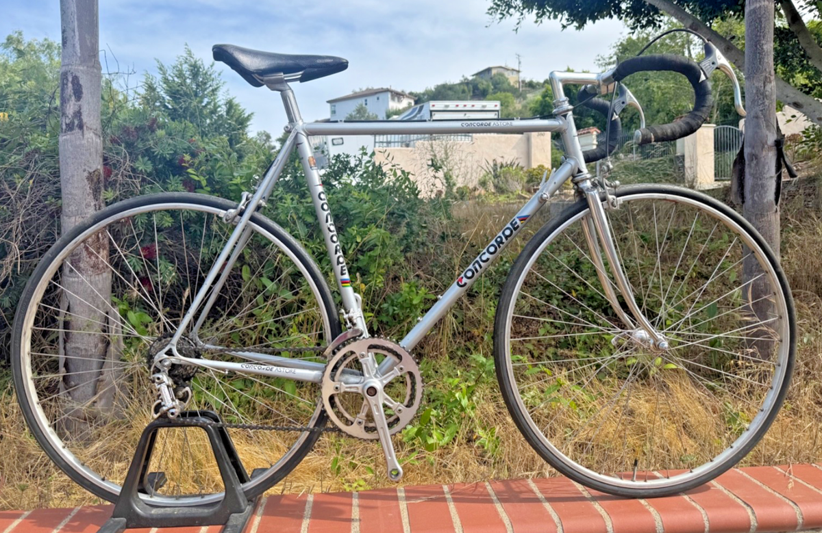 Concorde 57x57cm Astore Road Bike Campagolo Nuovo Record / Mavic