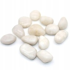 WEISS POLIERTE GLATTE MEDIZINISCHE KIESEL NATURSTEINE 20 kg 2-4 cm