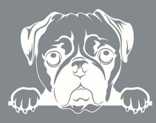 Pug Peaking White Vinyl Decal Car Truck Window Laptop Tablet Notebook