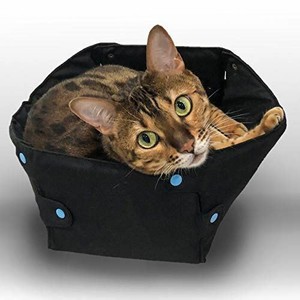 collapsible cat bed