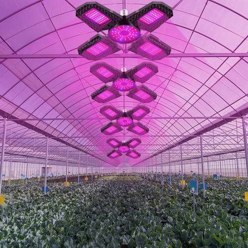 E27 LED Pflanzenlicht Glühbirne Vollspektrum Wachsen Pflanzenlampe Grow Light DE - Bild 11 von 16