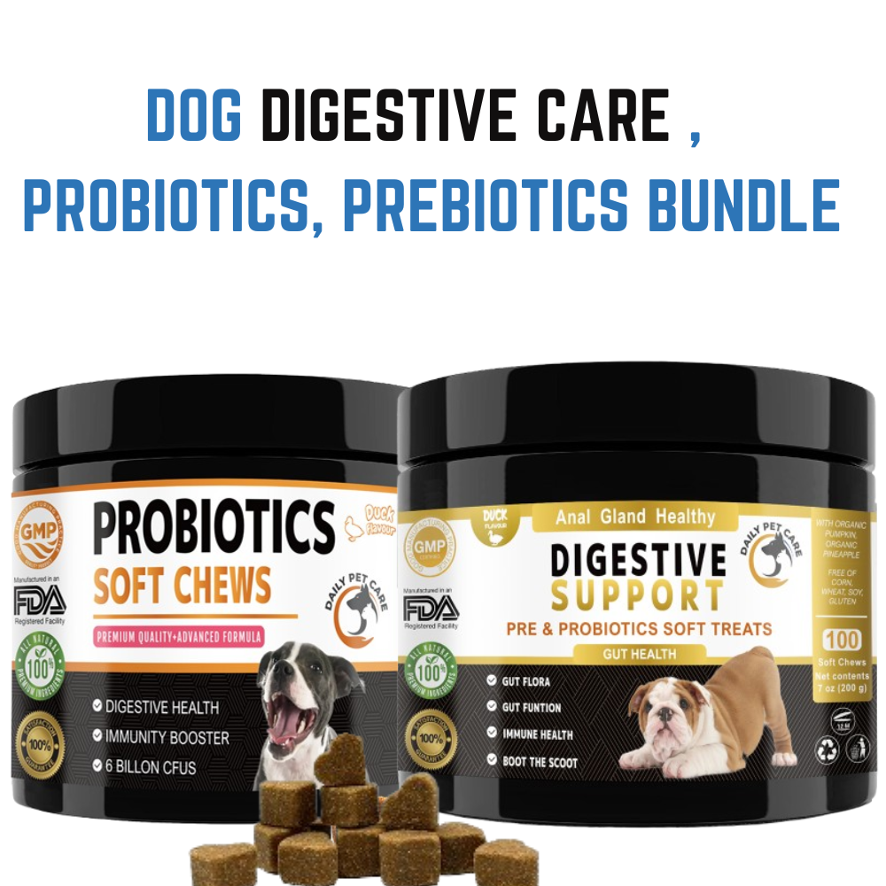 DOG GUT HEALTH - PRE & PROBIOTICS FOR DOGS - 2 BEST PROBIOITC DOG SUPPLEMENTS