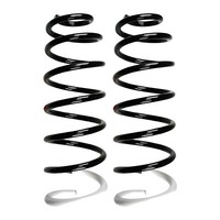 Fahrwerksfedern-Set Hinterachse Schraubenfeder Ø134Mm Spidan FüR U.A. CitroËN C8