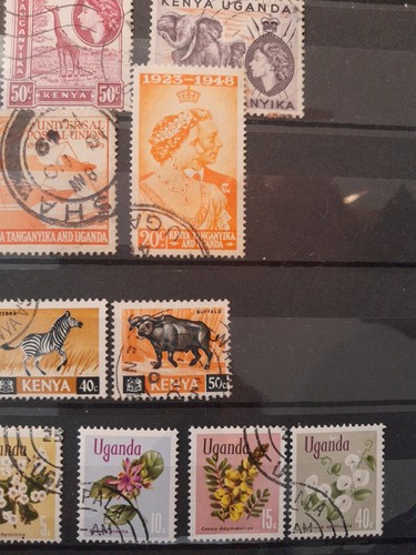 Kenya Uganda Tanzania, collezione dal classico - Foto 10 di 20