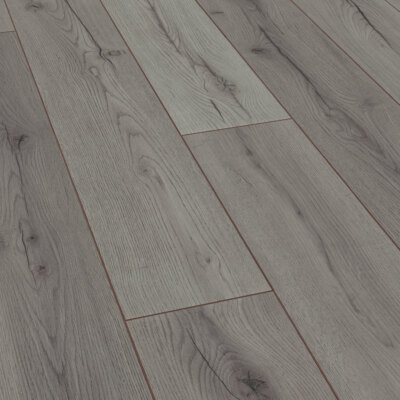 JANGAL ab 15,90  /m² Klick Laminat National Park Line Plus 8mm Eiche Grau 8054