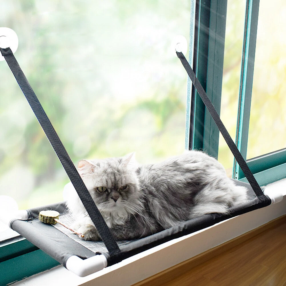 Kitty cot top suction cups