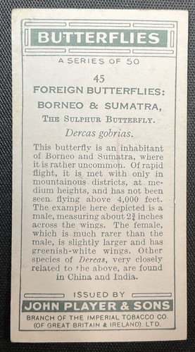 1932 Player's Cig Butterflies #45 Borneo & Sumatra - Sulphur Butterfly VG-VGEX - Picture 2 of 2