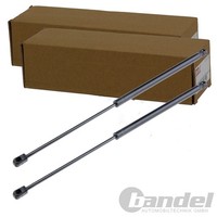 2X NTY Gasfedern MOTORHAUBEN-LIFTER Passend FüR Seat Leon Toledo Links+Rechts |