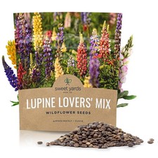 Lupine Wildflower Seeds - Large 1 Ounce Packet - Over 1,200 Annual and Perenn... 250.08 per gallon