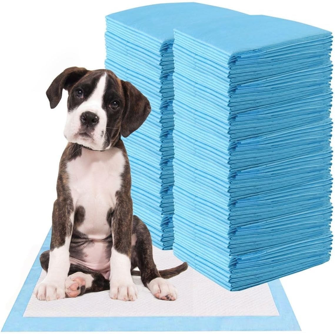 Traversine Cani 60x60 100 Pezzi - Tappetini Super Assorbenti 5 Strati