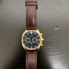 Citizen World Watch From Japan