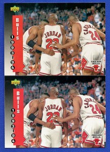 chicago bulls 1993 team