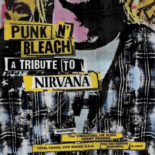 Various Artists Punk N' Bleach: A Punk Tribute to Nirvana (Vinyl LP) 12" Album