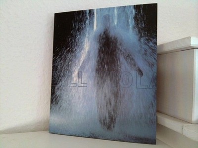Bill Viola, Mit Beiträgen von Lewis Hyde, Kira Perov, David A. Ross & Bill Viola