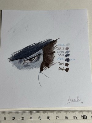 Original Vampire Hunter D Art Study / Sketch Page - Eye Detail & Color Namariko