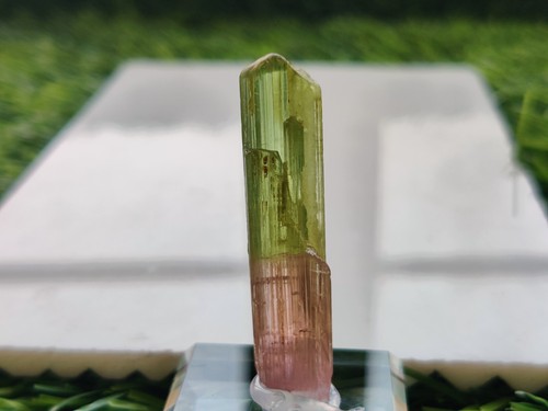 Exclusive Terminated Bi Color Natural Tourmaline Crystal 5.1 Grams 41x9x7mm - Picture 4 of 4