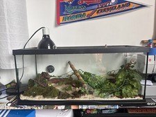 Aqueon Standard Glass 20 Gallon Long Aquarium Tank, Black Trim