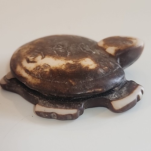 Turtle Trinket - Picture 8 of 11