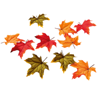 HerbstbläTter AhornbläTter Herbstdeko KunstbläTter Herbstdeko 13Cm Bunt 30 StüCk