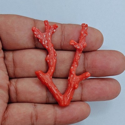 Red Coral Polished Branch Stick Mediterranean Italian Sea Coral Gemstone 32 CT's