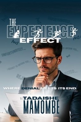 Tadaishe Mamombe The Experience Effect (Paperback)