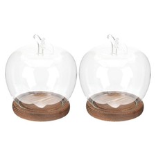 2pcs Clear Glass Display Dome with Wood Base - Cloche Glass Cover for Flowers