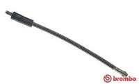 Brembo Bremsschlauch T 68 028 FüR Twingo SB0 Renault Clio 2 Thalia 1 357Y 357K