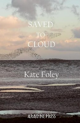 Kate Foley Saved to Cloud (Taschenbuch)