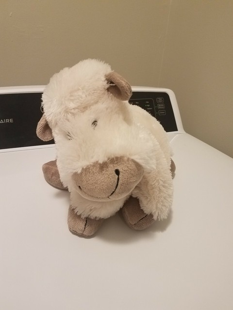 truffles sheep