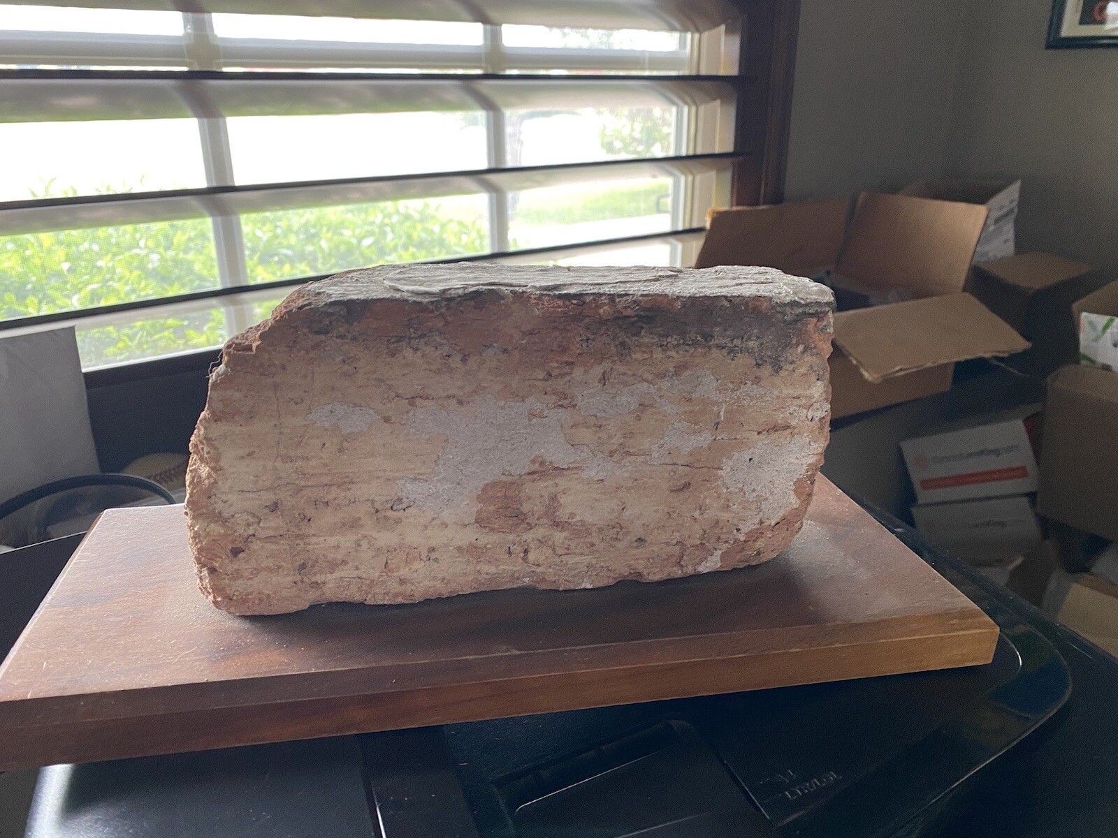 sports memorabilia eBay