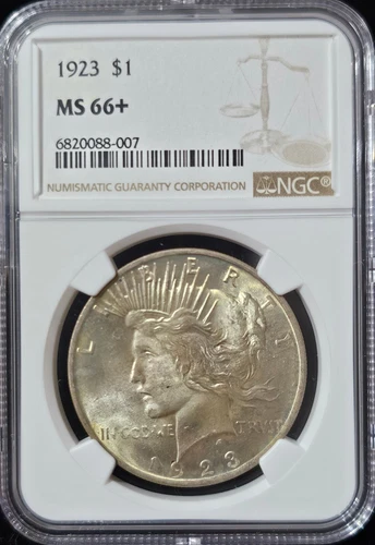 1923 Peace Dollar MS-66+ NGC VIDEO