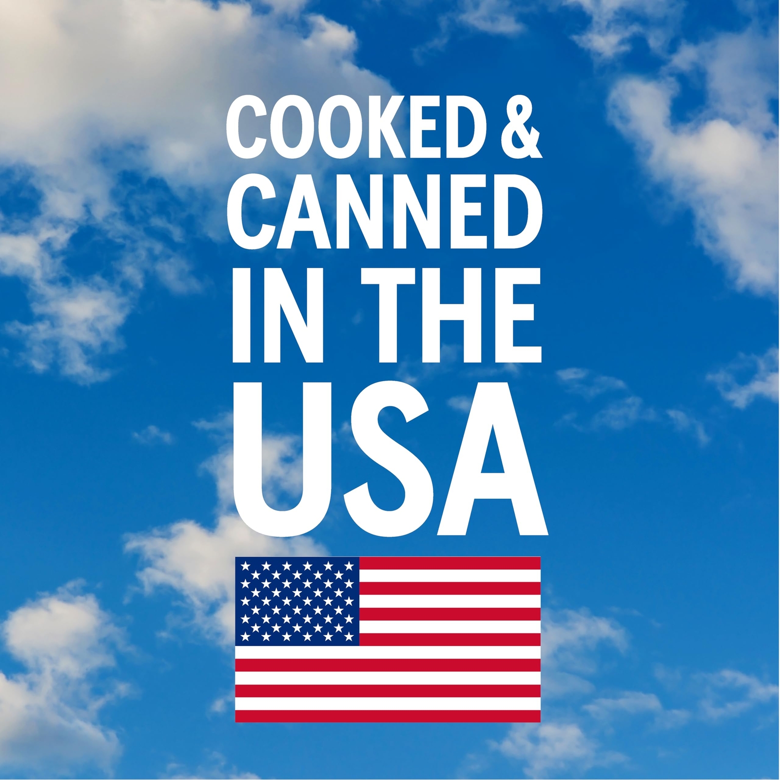 BUSH'S BEST 16 oz Canned Pinto Beans Source of Plant Based Protein and Fiber ...