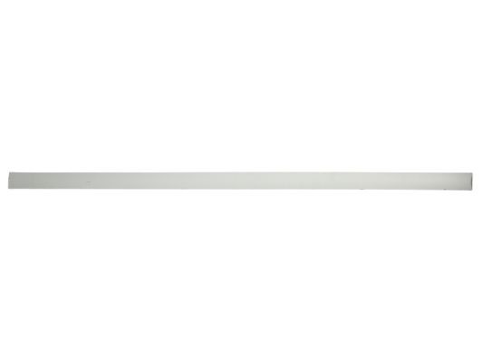 Right Front BLIC 5703-04-5078576P Trim/Protection Strip, wing for OPEL