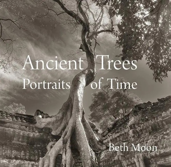 Ancient Trees | Portraits Of Time | Beth Moon | Buch | Abbeville Press | 2020-image