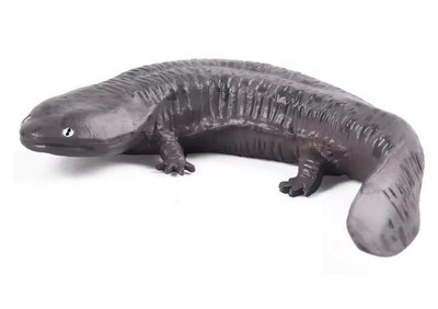 Salamander Fish Toy Action Figure Small Animal Figurine Doll Gift for Kids