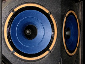 audax full range speakers