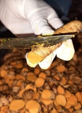 Pure Organic High Quality Ceylon Dried Turmeric Curcumin Root tubers Whole Haldi