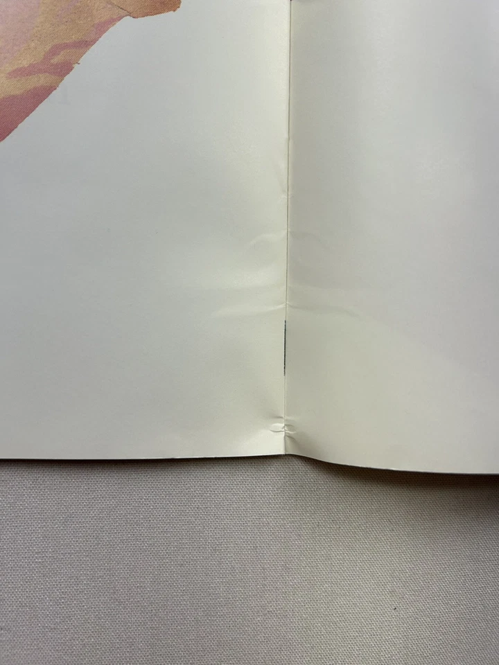 *RARE* Pancakes, Pancakes! Eric Carle TEACHER BIG BOOK 23" x 16" Easel Book - Image 4 of 4