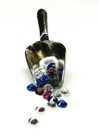 Bild 6 von 8